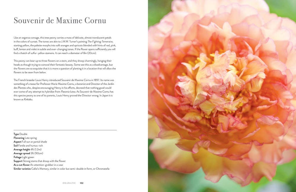 Peonies: Beautiful Varieties for Home &amp; Garden